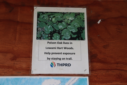 Poison Oak is along the trail — prevent exposure by staying on the trail
